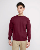 Hanes EcoSmart Unisex Fleece Sweatshirt (Big & Tall Sizes Available)