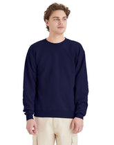 Hanes EcoSmart Unisex Fleece Sweatshirt (Big & Tall Sizes Available)
