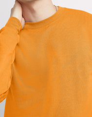 Hanes EcoSmart Unisex Fleece Sweatshirt (Big & Tall Sizes Available)