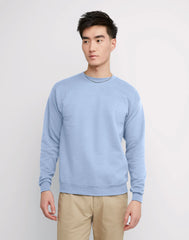 Hanes EcoSmart Unisex Fleece Sweatshirt (Big &amp; Tall Sizes Available)